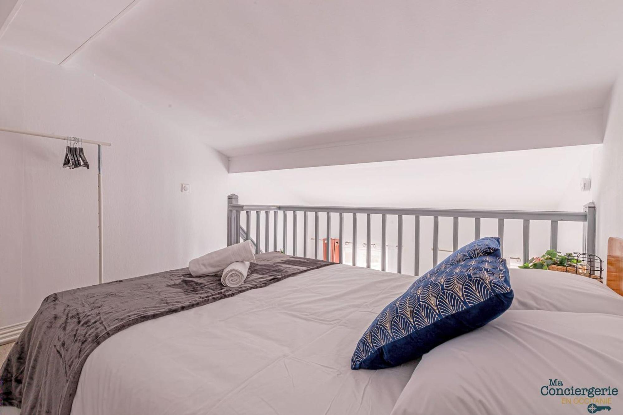 Duplex Champetre : Gare, Marche, Hypercentre Apartment Toulouse Bagian luar foto