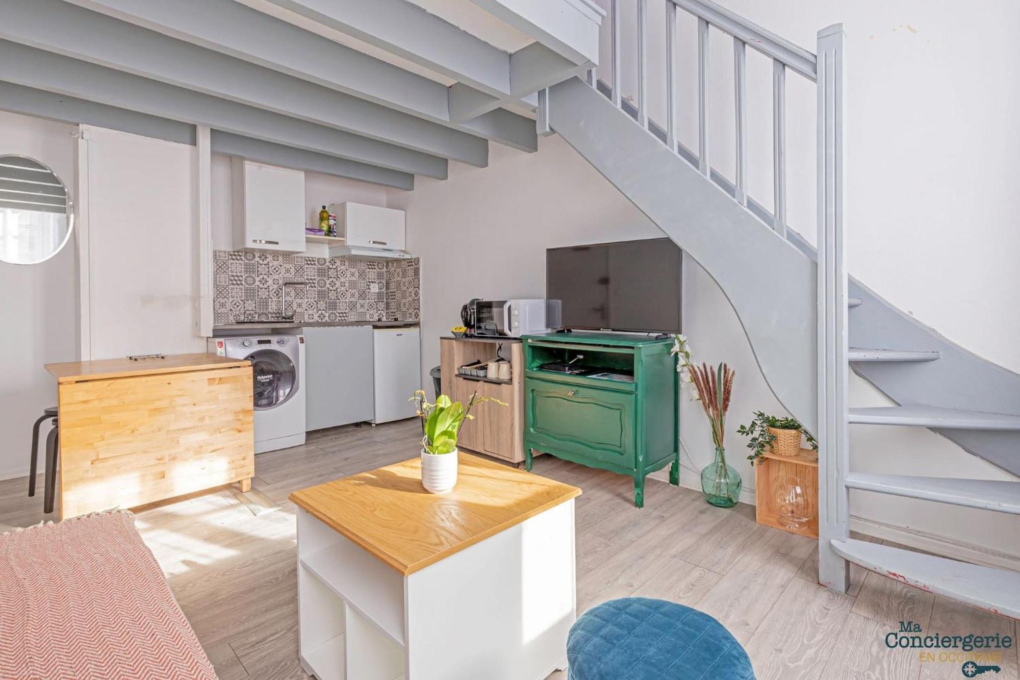 Duplex Champetre : Gare, Marche, Hypercentre Apartment Toulouse Bagian luar foto