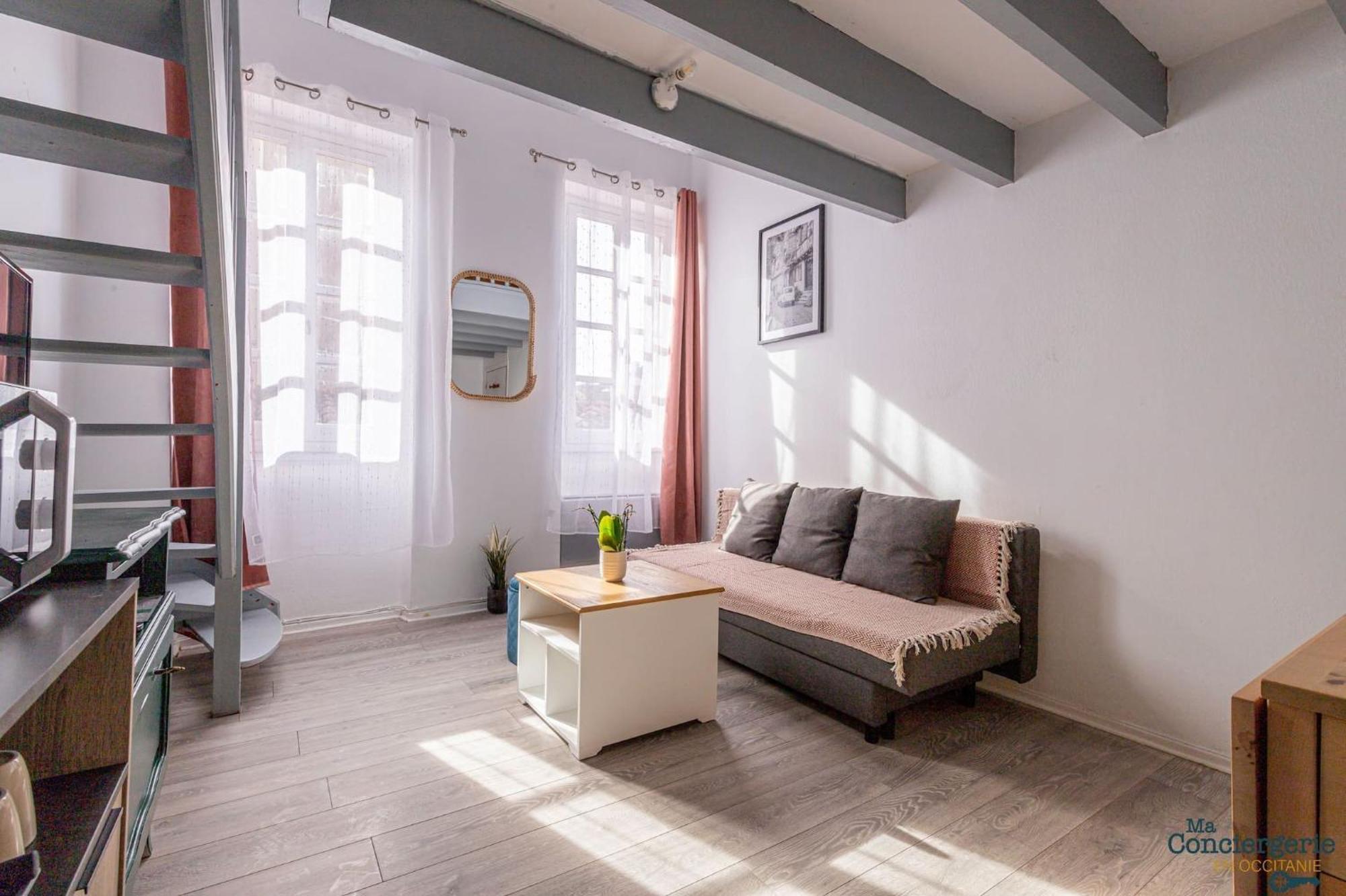 Duplex Champetre : Gare, Marche, Hypercentre Apartment Toulouse Bagian luar foto