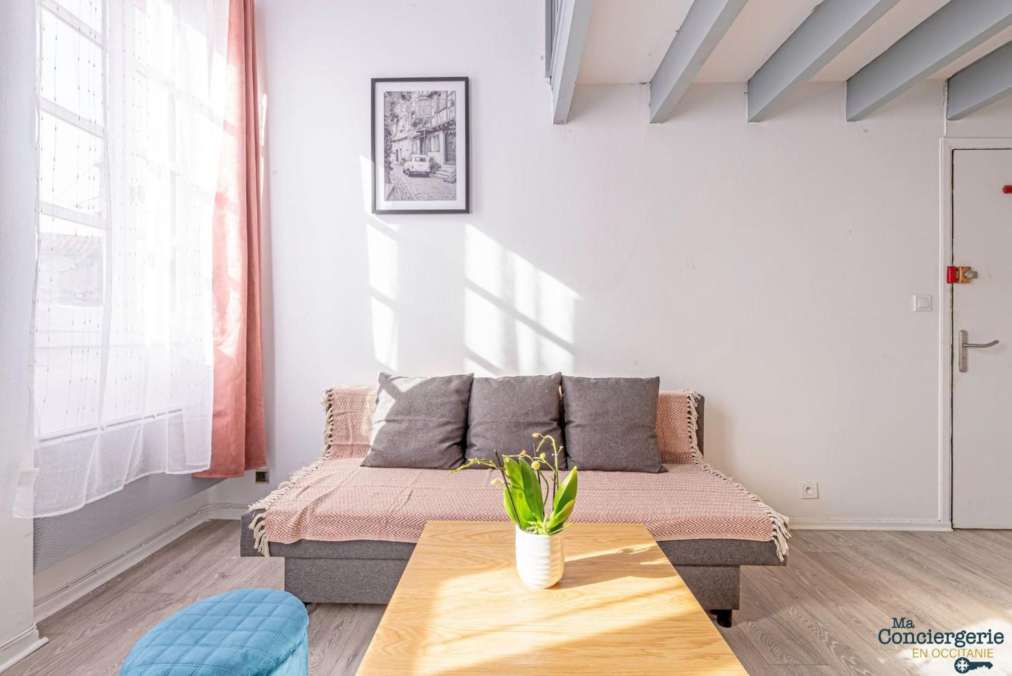 Duplex Champetre : Gare, Marche, Hypercentre Apartment Toulouse Bagian luar foto