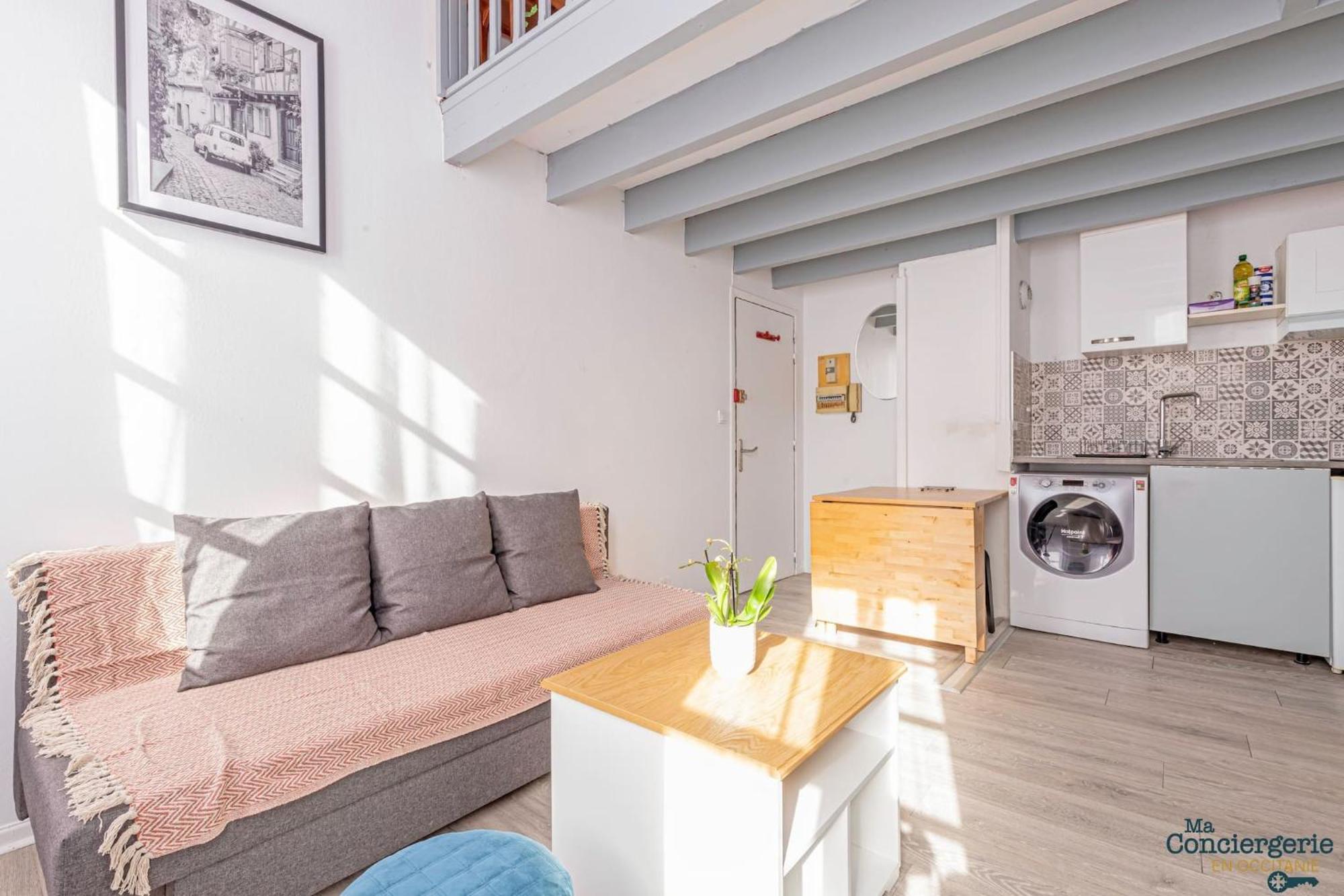 Duplex Champetre : Gare, Marche, Hypercentre Apartment Toulouse Bagian luar foto