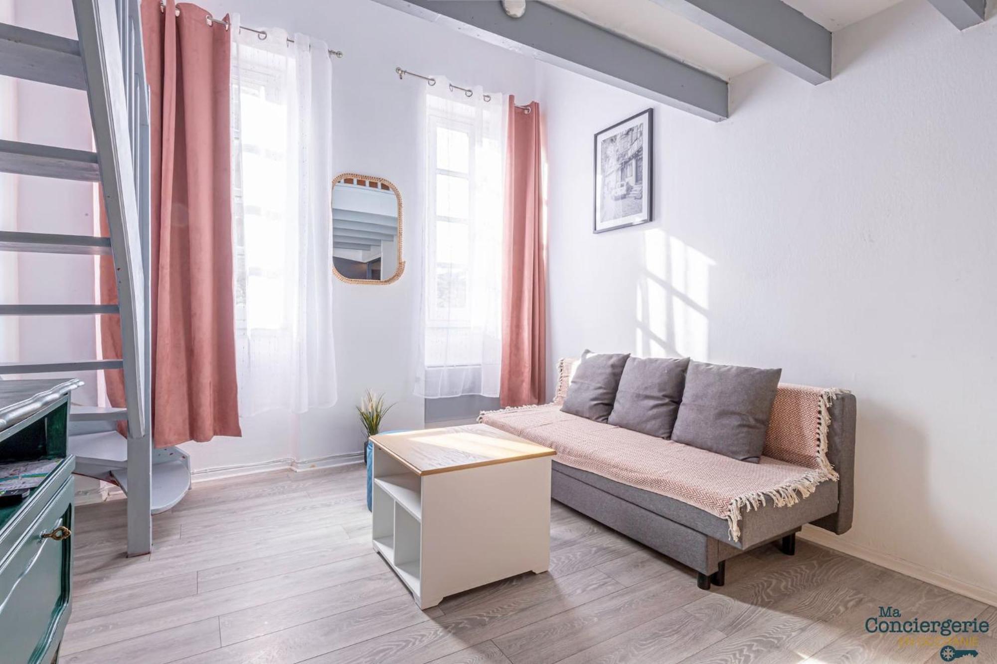 Duplex Champetre : Gare, Marche, Hypercentre Apartment Toulouse Bagian luar foto